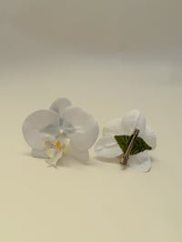 sample white phalaenopsis orchid clip