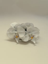 Image 1 of sample multi white orchids claw