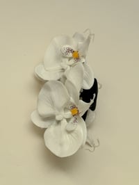 Image 2 of sample multi white orchids claw