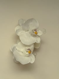 Image 3 of sample multi white orchids claw