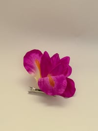 sample fuscia iris clip