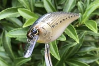 Image 1 of SPEEDBAITS Custom Airbrushed LC 1.5 Squarebill Crankbait 3922