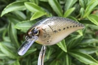 Image 4 of SPEEDBAITS Custom Airbrushed LC 1.5 Squarebill Crankbait 3922