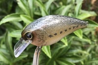 Image 5 of SPEEDBAITS Custom Airbrushed LC 1.5 Squarebill Crankbait 3922