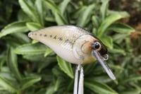 Image 7 of SPEEDBAITS Custom Airbrushed LC 1.5 Squarebill Crankbait 3922
