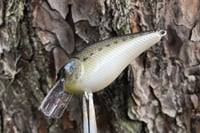 Image 11 of SPEEDBAITS Custom Airbrushed LC 1.5 Squarebill Crankbait 3922