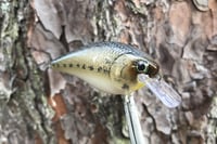 Image 13 of SPEEDBAITS Custom Airbrushed LC 1.5 Squarebill Crankbait 3922