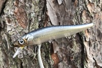 Image 5 of SPEEDBAITS Custom Airbrushed Jerkbait TA 110 6346