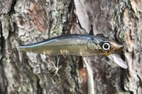 Image 6 of SPEEDBAITS Custom Airbrushed Jerkbait TA 110 6346