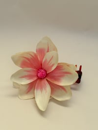 Image 1 of sample magnolia claw