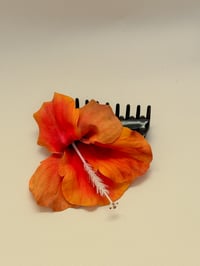 sample orange hibiscus claw