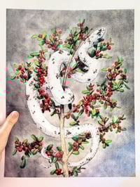 Image 4 of Palmetto - Photo Prints