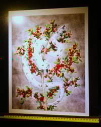 Image 5 of Palmetto - Photo Prints