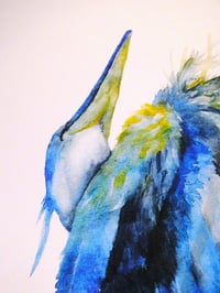 Image 4 of Heron at Rest - Photo Prints