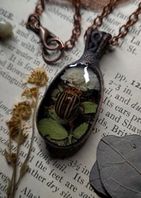 Image 3 of Beetle and Floral Pendant