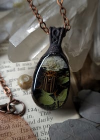 Image 5 of Beetle and Floral Pendant