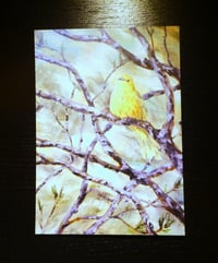 Image 2 of Large Art Cards