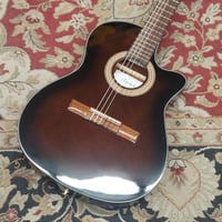 Image 1 of Ibanez Classical Acoustic / Electric