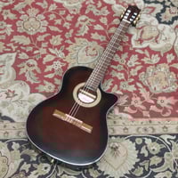Image 2 of Ibanez Classical Acoustic / Electric