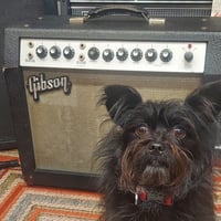 Vintage 60s Gibson Minuteman Tube Combo Amplifier