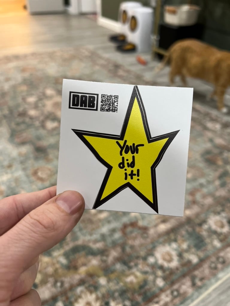 Image of You Did It! Gold Star Sticker or Magnet - Encouragement Motivation Gift