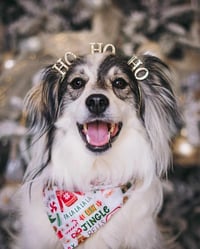 Image 2 of Warm Wishes