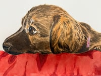 Image 4 of Custom Pet Portrait - Watercolor