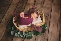 Image 1 of Newborn Wrapped Mini Session
