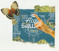 Image 1 of Acqua Study