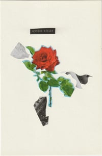 Februllage Study No. 14