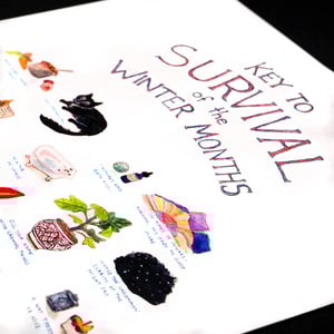 Image of Winter survival poster