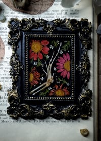 Image 1 of Lizard Claw and Floral Mini Wall Frame