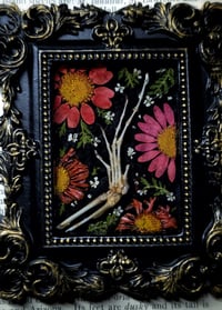 Image 3 of Lizard Claw and Floral Mini Wall Frame