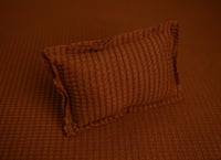 Image 4 of Copy of Almond Cream- Curated Colors set