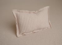 Image 4 of Almond Cream- Curated Colors set