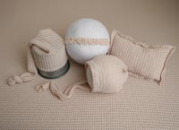 Image 2 of Almond Cream- Curated Colors set