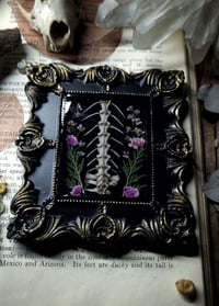 Image 3 of Pelvis and Floral Wall Frame