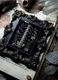 Image 2 of Pelvis and Floral Wall Frame