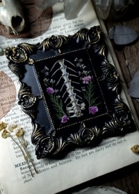 Image 4 of Pelvis and Floral Wall Frame