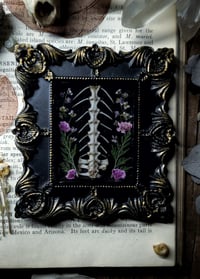 Image 1 of Pelvis and Floral Wall Frame