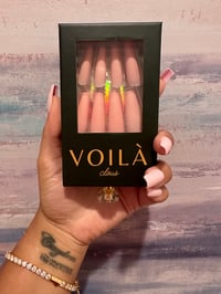 Image 2 of Bebe Rose 