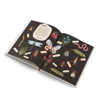 Image 4 of EASY PEASY Gardening for kids