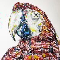 Additional animal add on