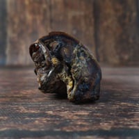Image 2 of Oreille de bœuf XL - sans fourrure -