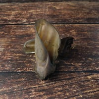 Image 1 of Oreille de bœuf XL - sans fourrure -
