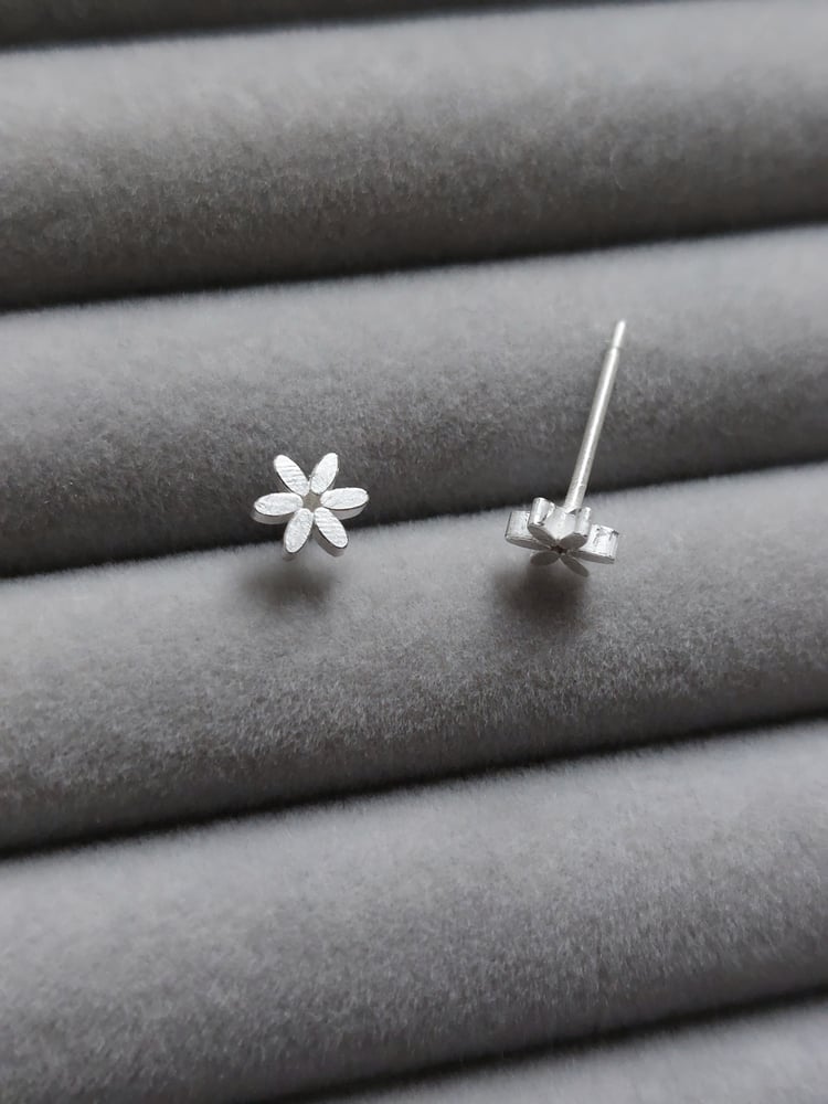 Image of Caraway Star Earstuds 