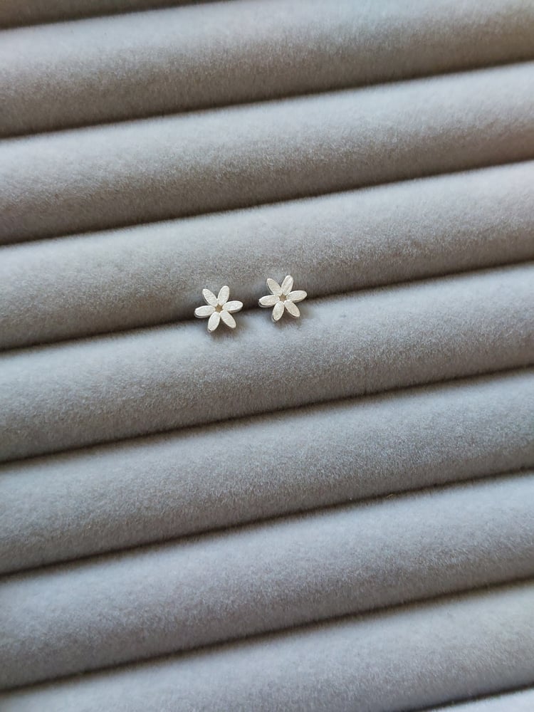 Image of Caraway Star Earstuds 
