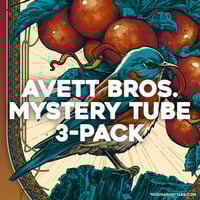 Image 1 of Avett Brothers Poster 3-pack