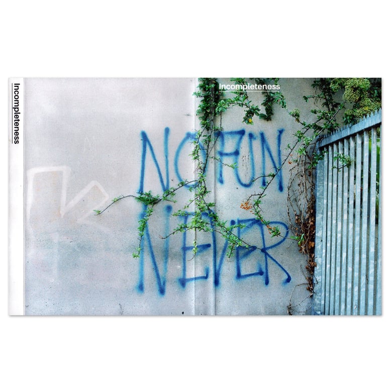 Image of INCOMPLETENESS