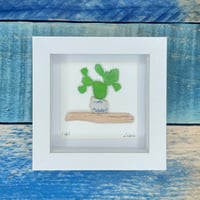 Small Seaglass cactus 